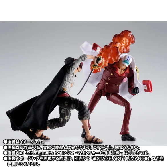SAKAZUKI-Akainu-MARINEFORD-07