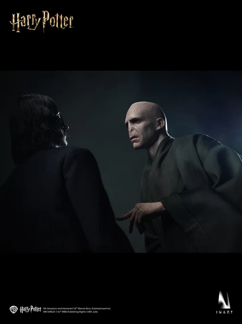 14 Voldemort de INART inclinado hacia otra figura en una escena oscura.