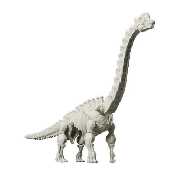 Esqueleto de dinosaurio de cuello largo de Blokees TERRAVENTURE TS-02.